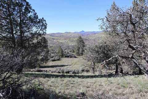 LOT 116 Greentree St, Hornbrook, CA 96044