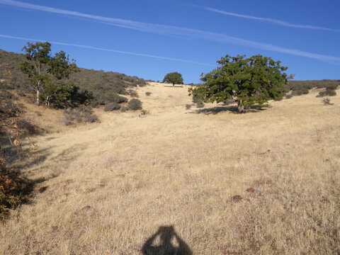 xx Circle, Hornbrook, CA 96044