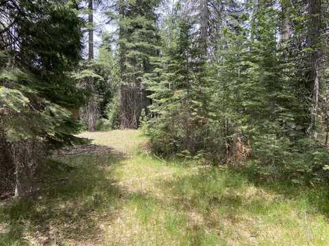 1-A-5 Mt Shasta Dr, McCloud, CA 96057