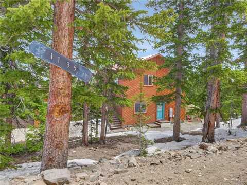 1135 PRUNES PLACE, Fairplay, CO 80440