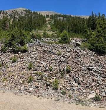 207 BULLION MINE ROAD, Montezuma, CO 80435