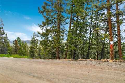 TBD TROUT CREEK LANE, Fairplay, CO 80440