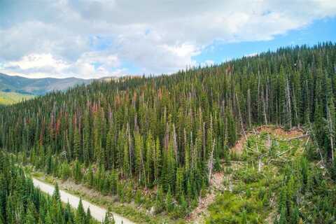 525 CR 805, Breckenridge, CO 80424