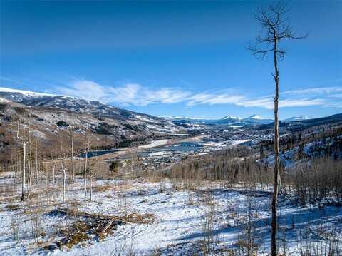 TBD WHETSTONE DRIVE, Silverthorne, CO 80498