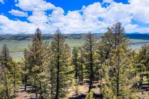 Lot 262 MIDDLE FORK VISTA, Fairplay, CO 80440