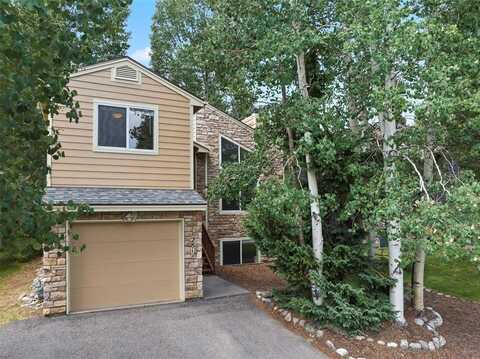 281 N 6TH AVENUE, Frisco, CO 80443