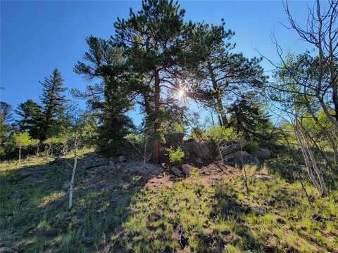 459 CONCORD DRIVE, Jefferson, CO 80456