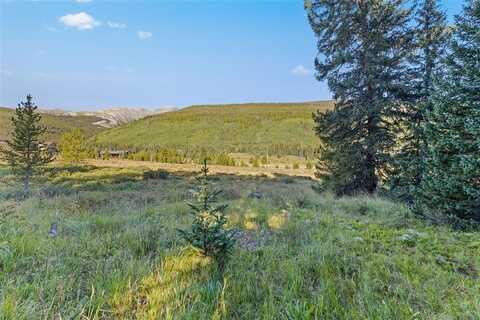 102 SILVERHEELS ROAD, Blue River, CO 80424