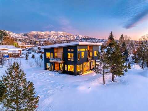 553 2ND STREET, Steamboat Springs, CO 80487