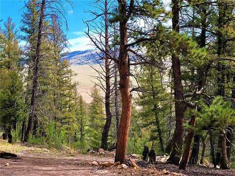 198 MIDDLE FORK VISTA, Fairplay, CO 80440