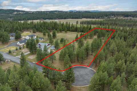 3517 E Elena Ln, Chattaroy, WA 99003