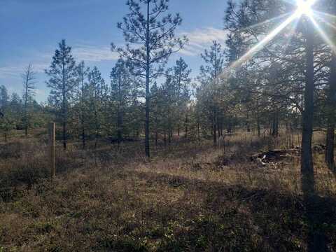 5742 Corkscrew Canyon Rd, Tumtum, WA 99034