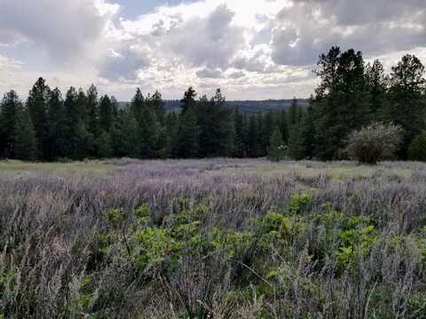 13853 S Serenity Ln, Valleyford, WA 99036