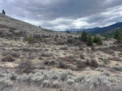 Lot 24 N Lambert Ln, Republic, WA 99166