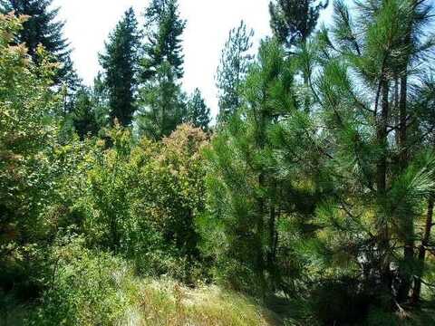 Hoag Rd, Valley, WA 99181