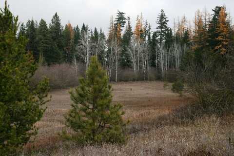 Lot 6 Mule Deer Ln, Deer Park, WA 99006