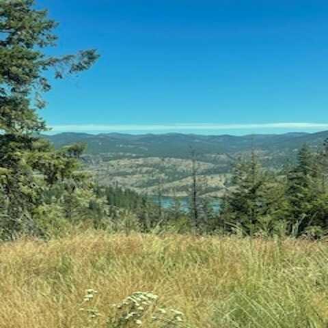 Lot 28 Timber Bay Dr, Davenport, WA 99122