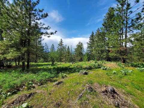 00 E Bigelow Gulch Rd, Spokane, WA 99217