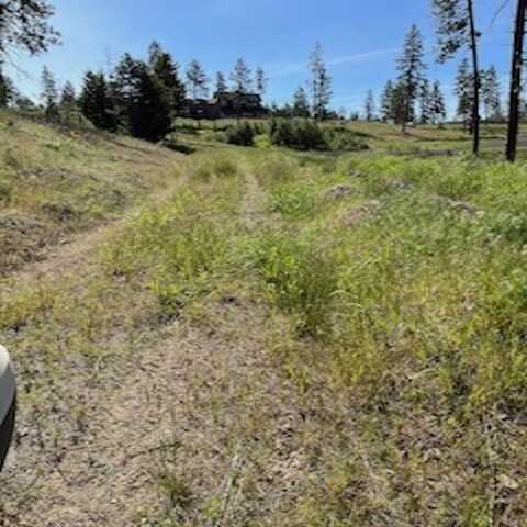 Lot A Kronos Short Plat/Meadowlane Ln, Davenport, WA 99122