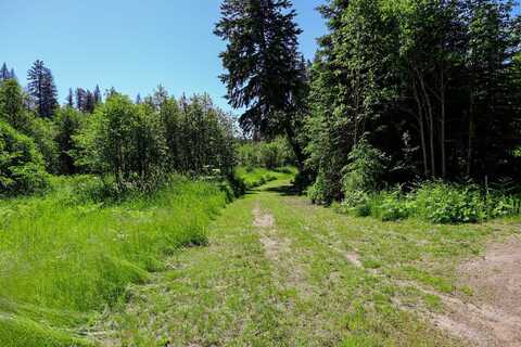 Lot 14 Elk Rd, Newport, WA 99156