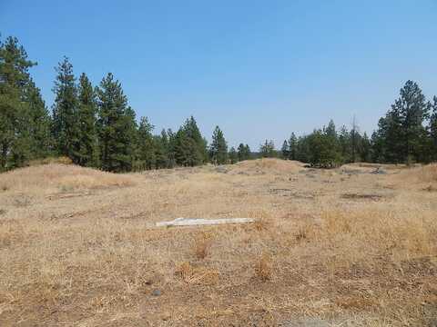 249014 W Kitt Rd, Reardan, WA 99029