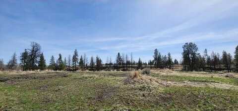 Lot 7 Telford South Rd, Davenport, WA 99122