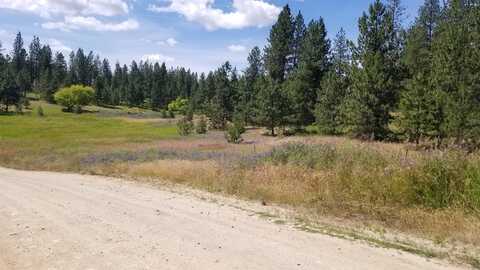 Lot 1 Glen Grove-Staley Rd, Deer Park, WA 99006