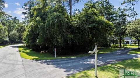 Lot 190 Winterberry Court NE, Townsend, GA 31331