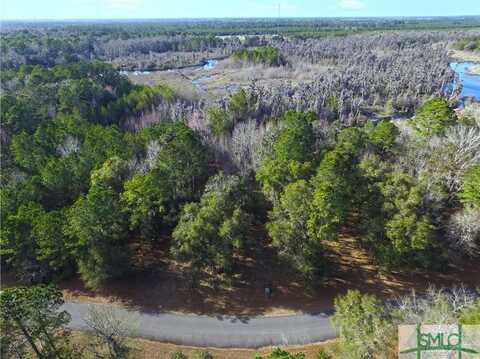 Lot 17 Blue Marlin Drive, Townsend, GA 31331