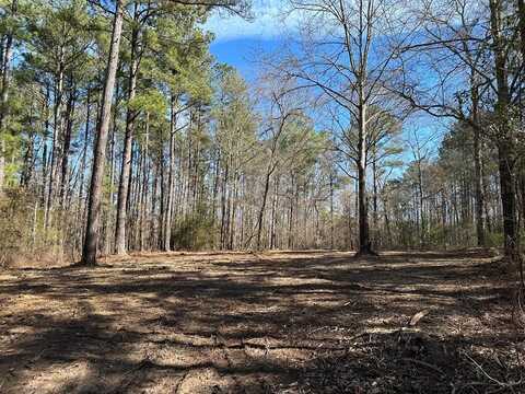 Tract 5 Cotton Ln., Summerton, SC 29148