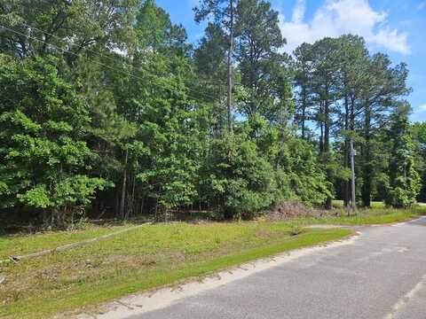 TBD Lakewood Drive, Manning, SC 29102