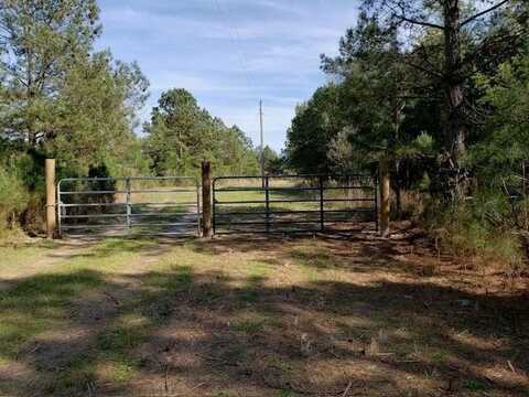 TBD State Road S-38-394 Rocky Grove Township, Springfield, SC 29137