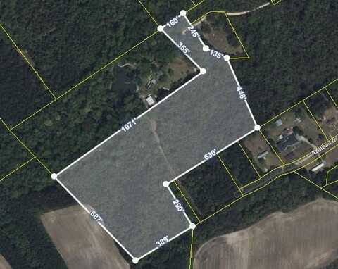 TBD Plowden Mill Road Tract D, Alcolu, SC 29001