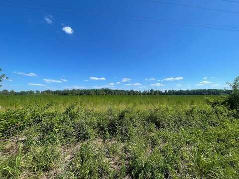 0 N Kings Hwy Lot 11, Sumter, SC 29154