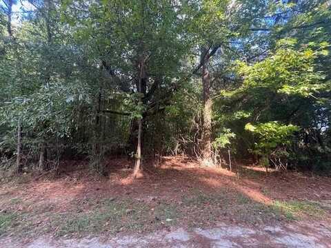 tbd Comstock Lane, Manning, SC 29102