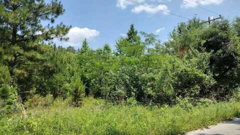 00 lot2 Meagen Lane, Manning, SC 29102