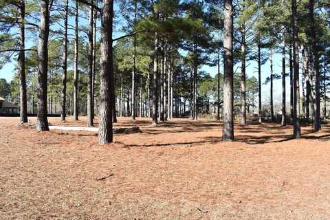 88 Ridge Lake Dr. (B-25), Manning, SC 29102