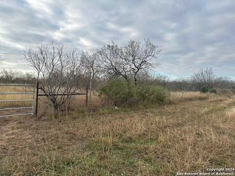 BLUNTZER RD, Jourdanton, TX 78026