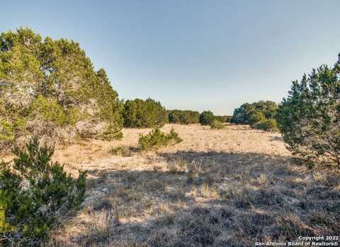 Lot 90 Paradise Parkway, Canyon Lake, TX 78133