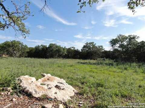 255 Serenity Pass, Spring Branch, TX 78070