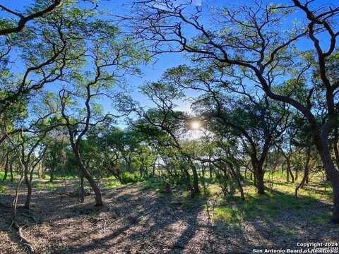 Lot 87 Creekside at Camp Verde, Center Point, TX 78010