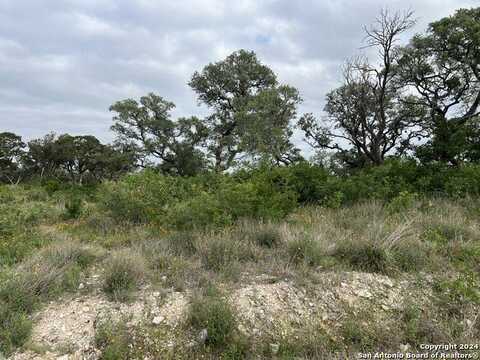 Tbd PR 2771, Mico, TX 78056