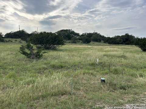 106 Serapia Garza, Blanco, TX 78606