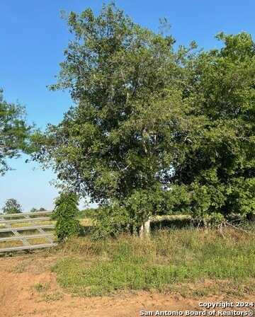 14812 LADD ROAD, Atascosa, TX 78002