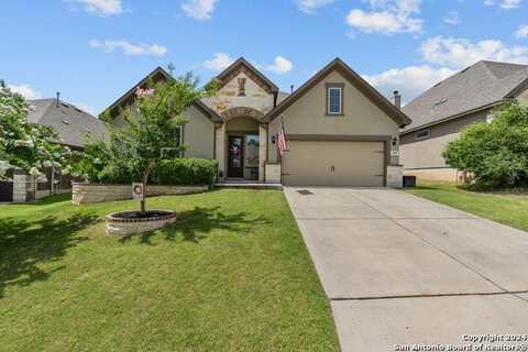 439 WHISTLERS WAY, Spring Branch, TX 78070