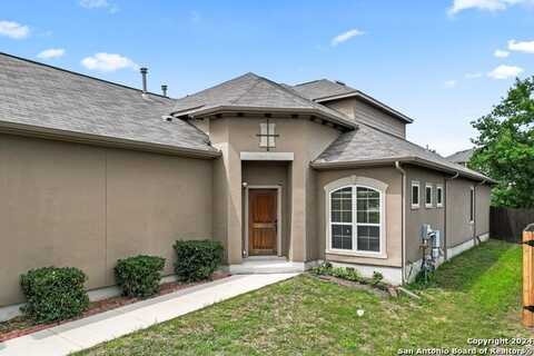 319 SNOW GOOSE, New Braunfels, TX 78130