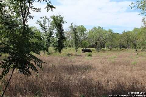 Shepherd Road, Atascosa, TX 78002