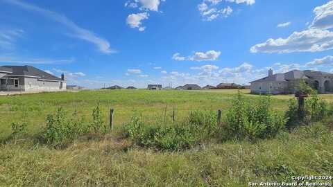 1055 County Road 319, La Vernia, TX 78121