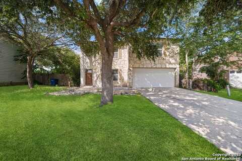 1117 Stone Hollow, New Braunfels, TX 78130