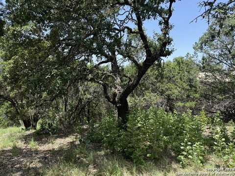 169 Black Oak Dr, Canyon Lake, TX 78133